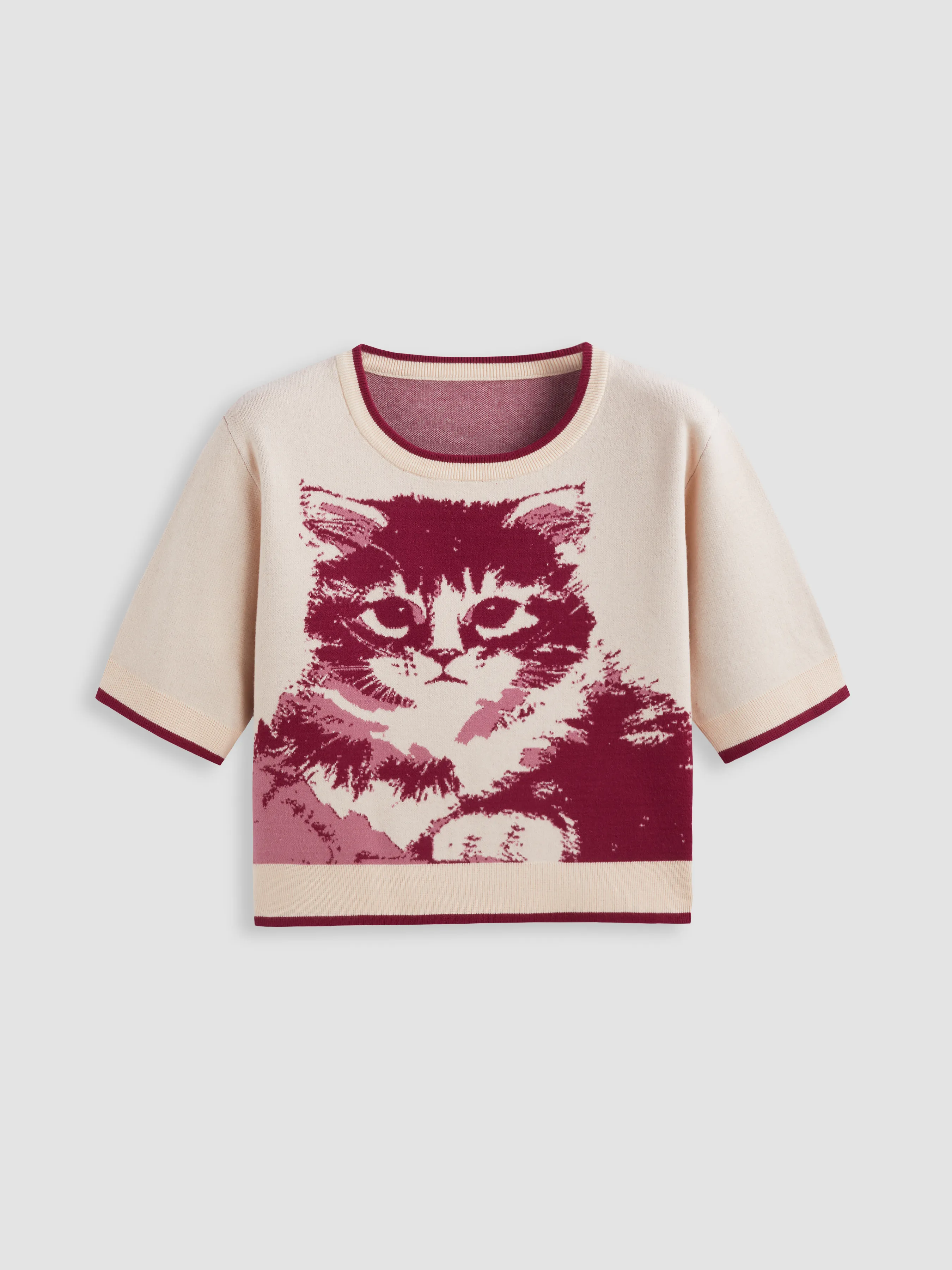 Haut à manches courtes avec graphique de chat et col rond en jacquard Curve & Plus