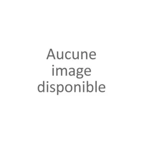 Mule plate noire femme (36-41)